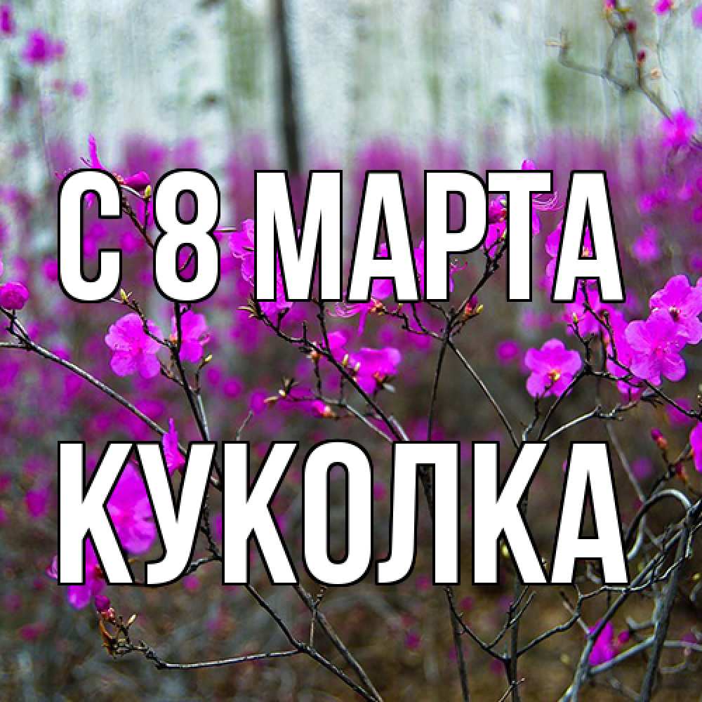 Открытка на каждый день с именем, Куколка C 8 МАРТА дикие цветы Прикольная открытка с пожеланием онлайн скачать бесплатно 