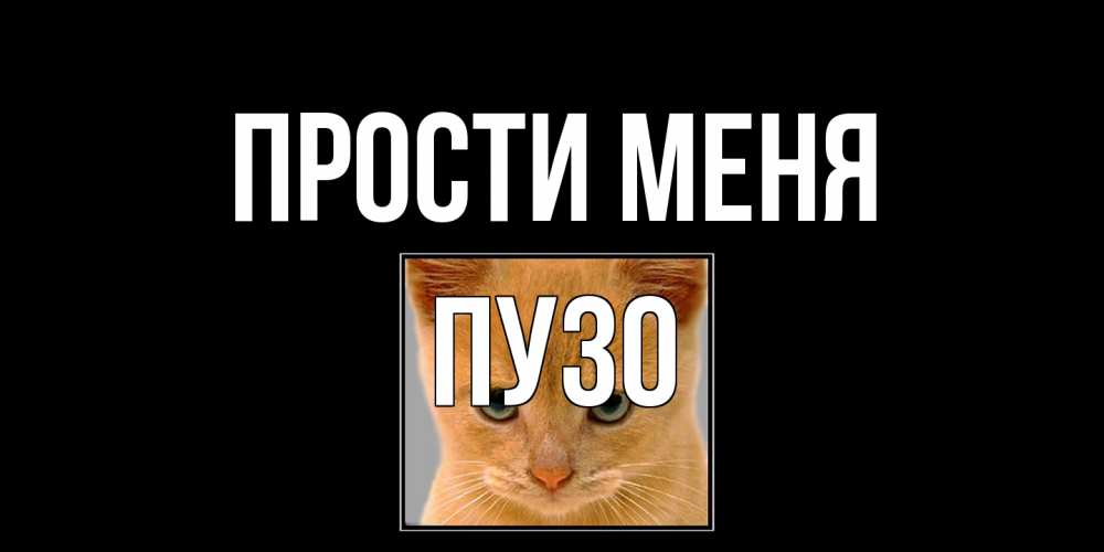 Открытка на каждый день с именем, Пузо Прости меня рыжий грустный кот просит прощения Прикольная открытка с пожеланием онлайн скачать бесплатно 