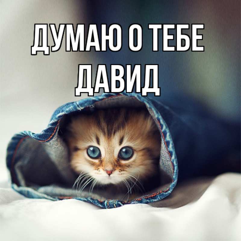 Картинка Думаю о тебе, Давид