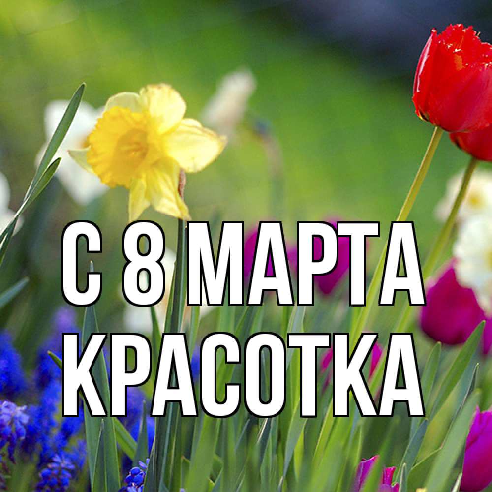 Открытка на каждый день с именем, Красотка C 8 МАРТА международный женский день 3 Прикольная открытка с пожеланием онлайн скачать бесплатно 