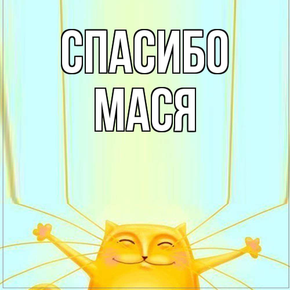 Открытка на каждый день с именем, Мася Спасибо кот с усами благодарит Прикольная открытка с пожеланием онлайн скачать бесплатно 