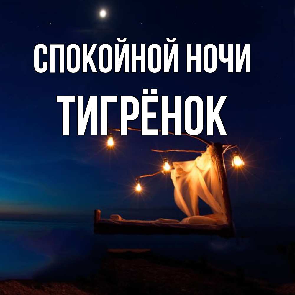 Открытка на каждый день с именем, Тигрёнок Спокойной ночи милый мой Прикольная открытка с пожеланием онлайн скачать бесплатно 