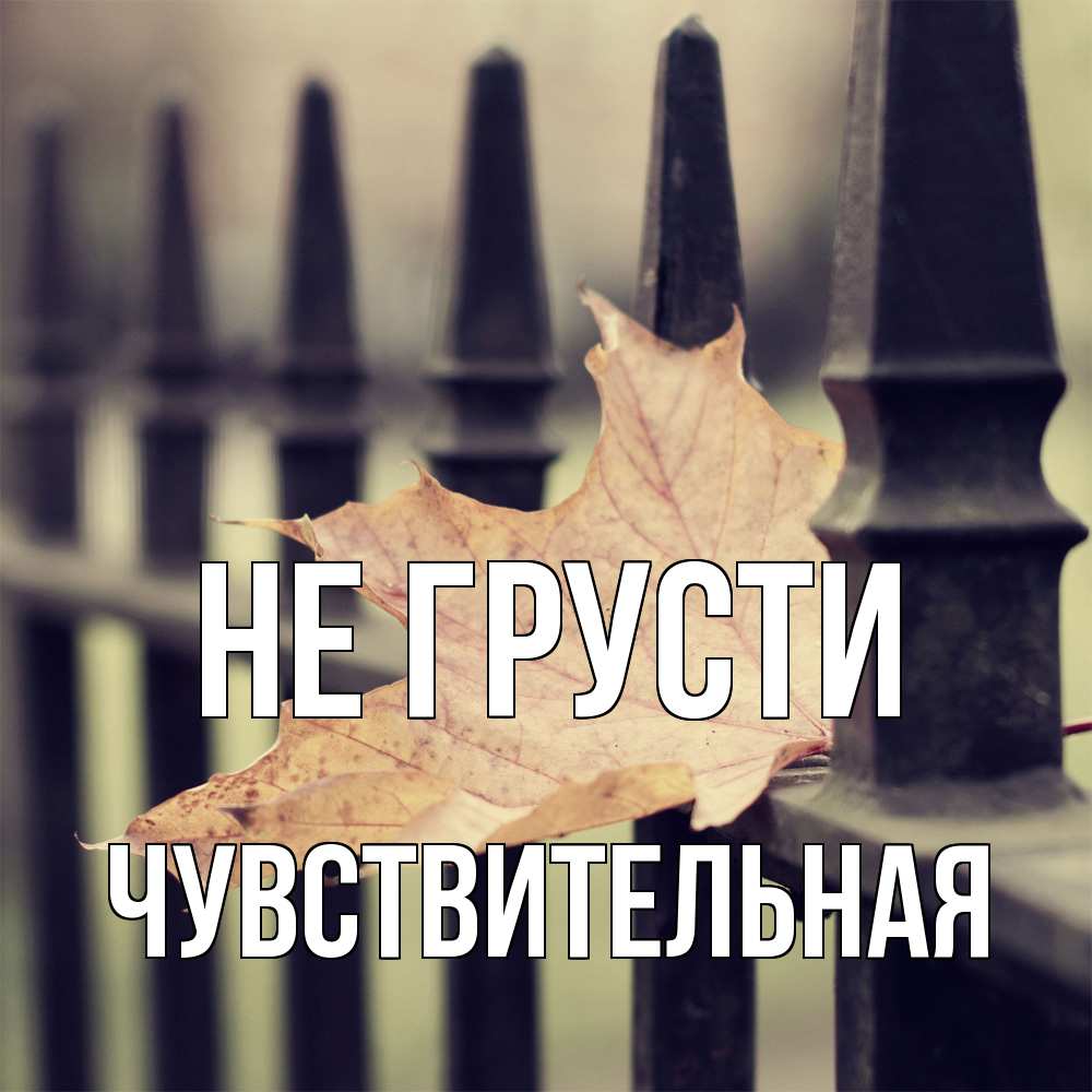 Открытка на каждый день с именем, Чувствительная Не грусти лист клена Прикольная открытка с пожеланием онлайн скачать бесплатно 