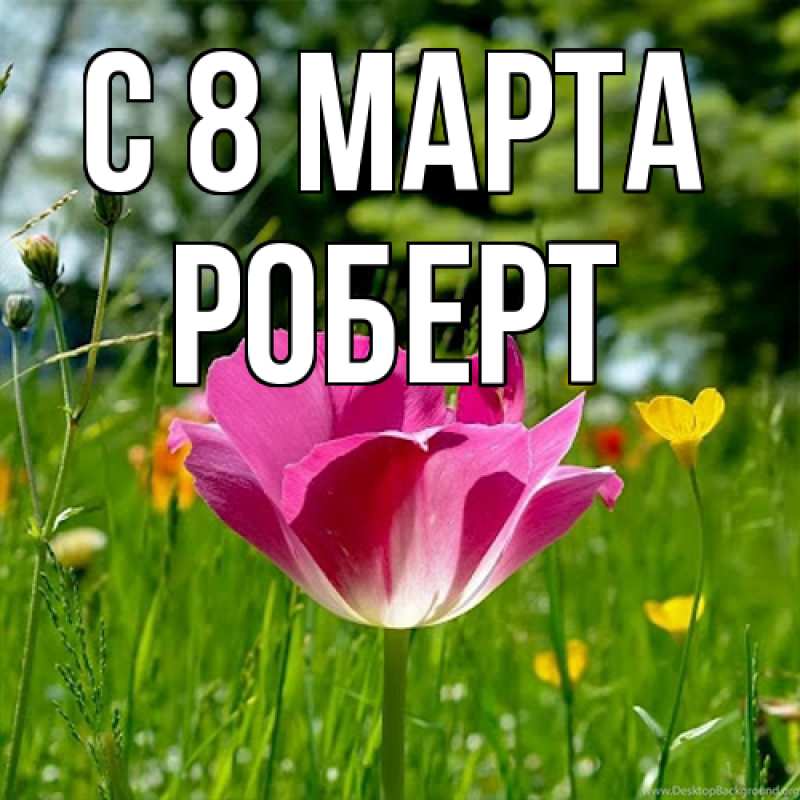 Картинка C 8 МАРТА, Роберт