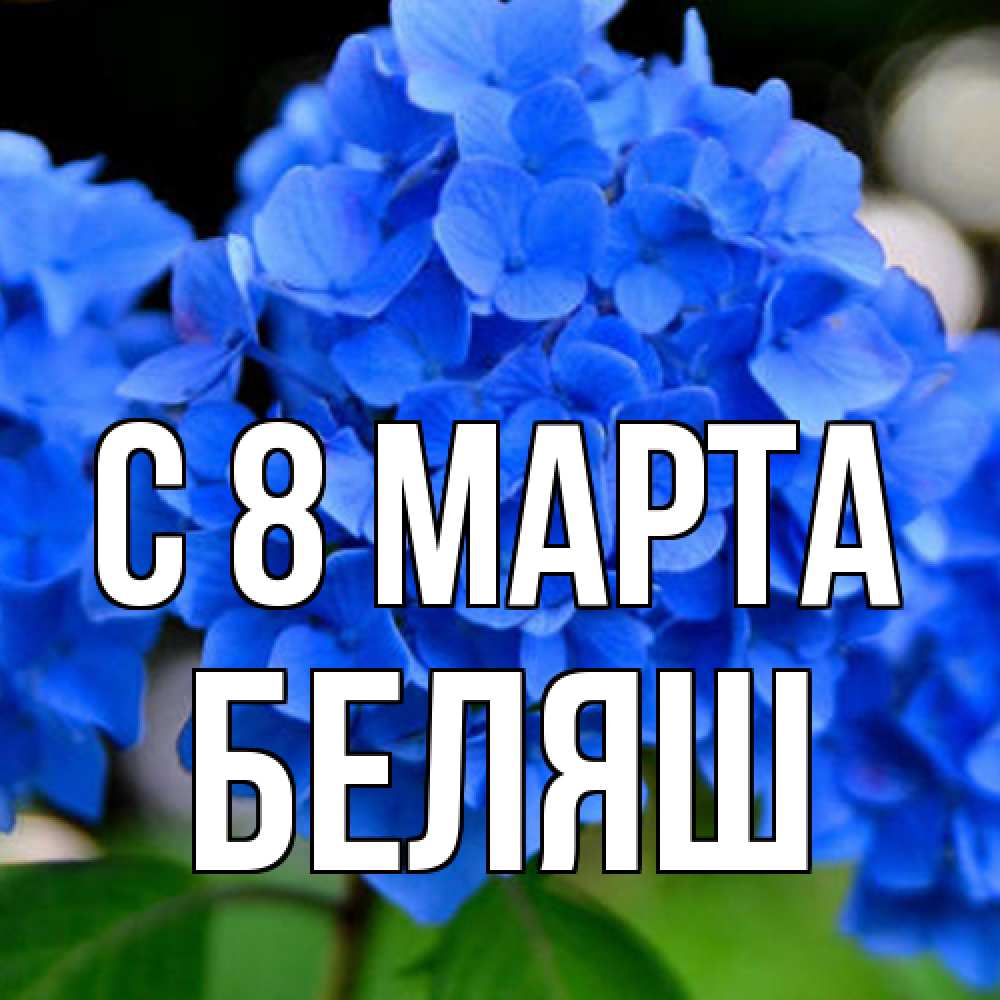 Открытка на каждый день с именем, Беляш C 8 МАРТА синие цветы Прикольная открытка с пожеланием онлайн скачать бесплатно 