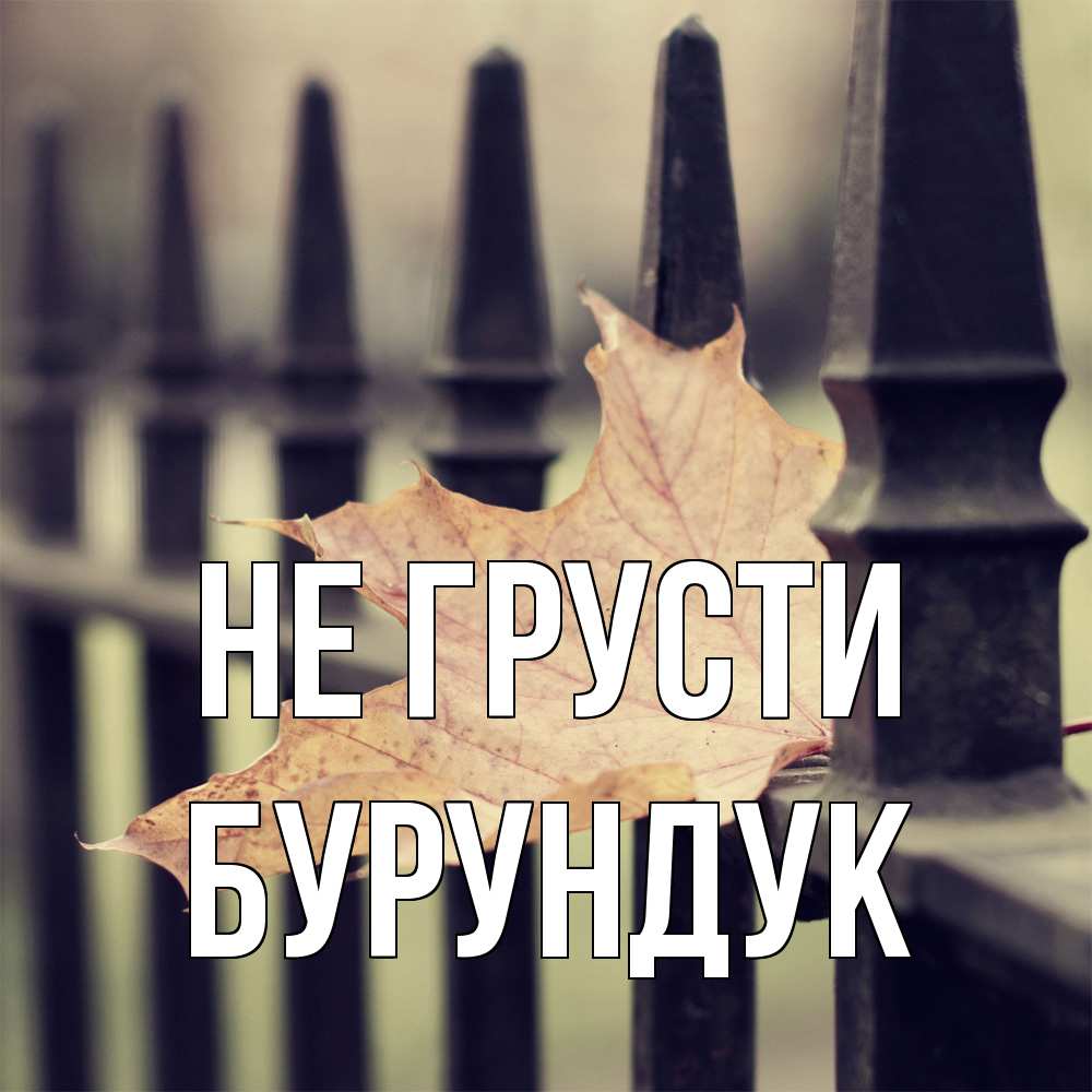 Открытка на каждый день с именем, Бурундук Не грусти лист клена Прикольная открытка с пожеланием онлайн скачать бесплатно 