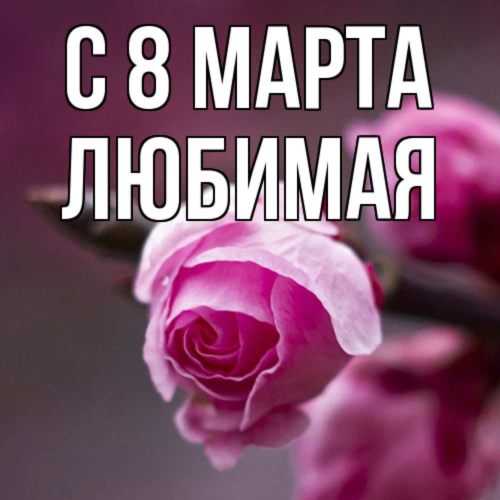 Открытка на каждый день с именем, Любимая C 8 МАРТА весна Прикольная открытка с пожеланием онлайн скачать бесплатно 