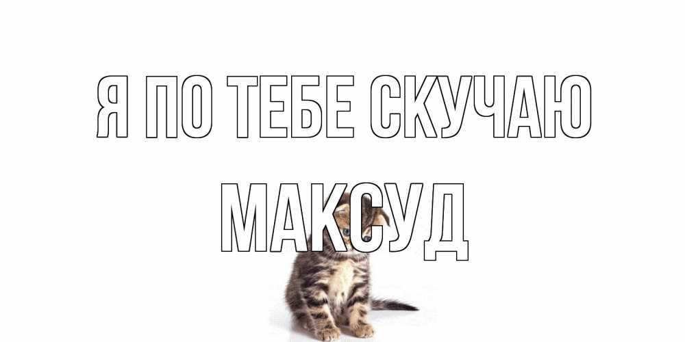 Открытка на каждый день с именем, Максуд Я по тебе скучаю кот Прикольная открытка с пожеланием онлайн скачать бесплатно 