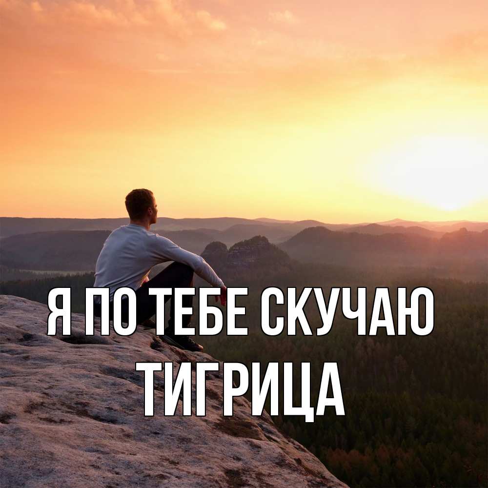 Открытка на каждый день с именем, Тигрица Я по тебе скучаю открытка про скучашки 1 Прикольная открытка с пожеланием онлайн скачать бесплатно 