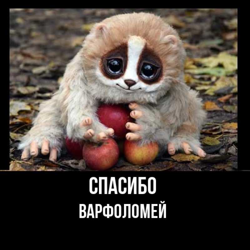 Картинка Спасибо, Варфоломей