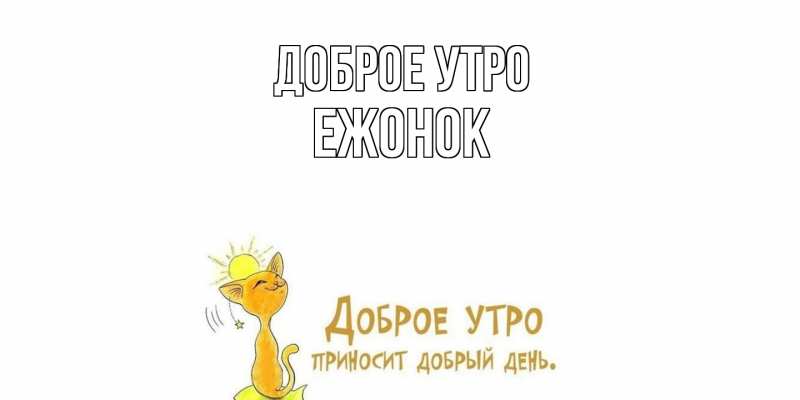 Картинка Доброе утро, Ежонок