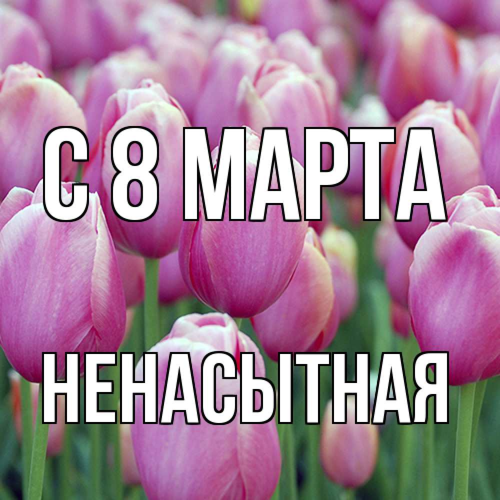 Открытка на каждый день с именем, Ненасытная C 8 МАРТА на международный женский день 3 Прикольная открытка с пожеланием онлайн скачать бесплатно 