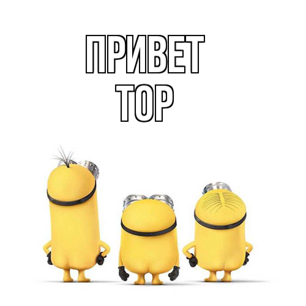 Открытка на каждый день с именем, Тор Привет приветики Прикольная открытка с пожеланием онлайн скачать бесплатно 