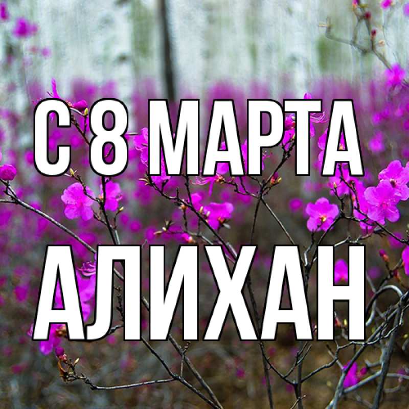 Картинка C 8 МАРТА, Алихан
