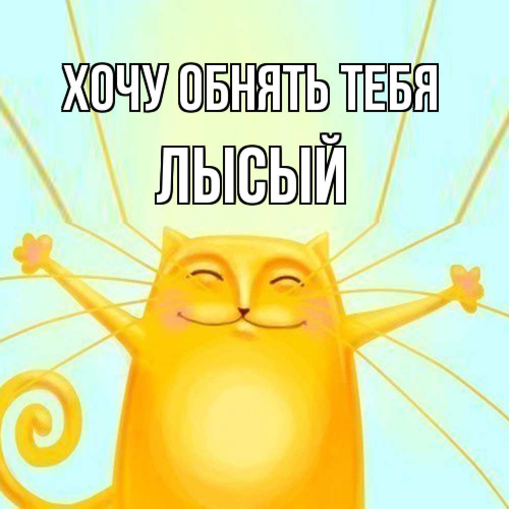 Открытка на каждый день с именем, Лысый Хочу обнять тебя солнечный обнимашечный кот Прикольная открытка с пожеланием онлайн скачать бесплатно 