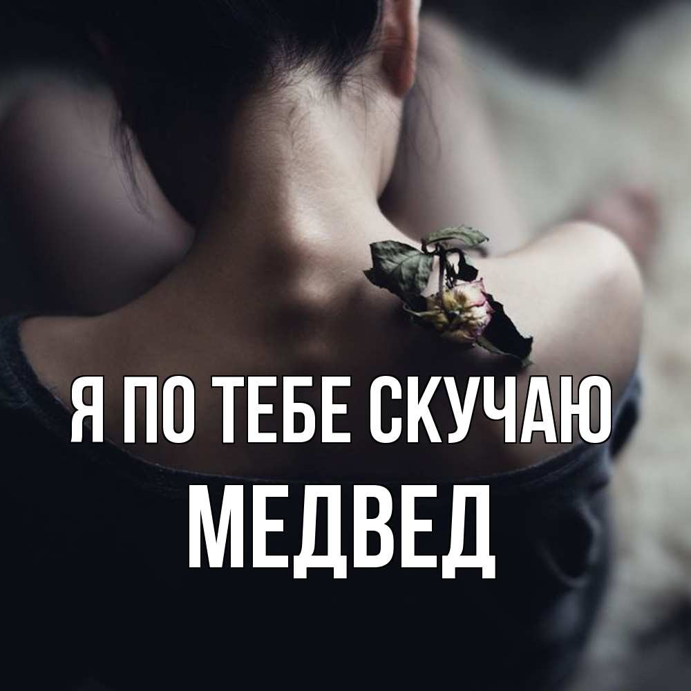 Открытка на каждый день с именем, Медвед Я по тебе скучаю засох цветок Прикольная открытка с пожеланием онлайн скачать бесплатно 
