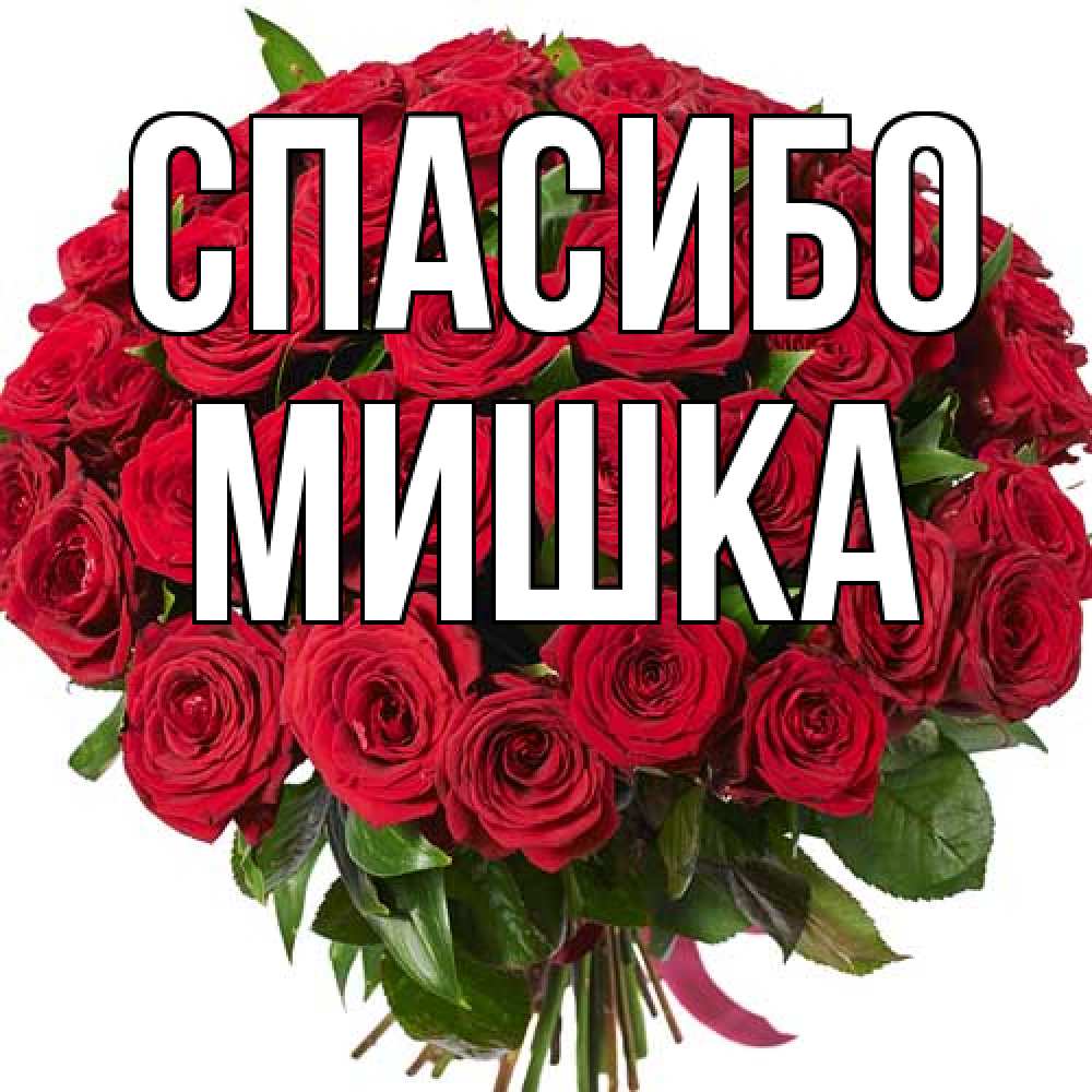 Открытка на каждый день с именем, Мишка Спасибо букет красных роз Прикольная открытка с пожеланием онлайн скачать бесплатно 
