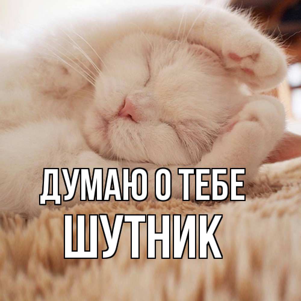 Открытка на каждый день с именем, Шутник Думаю о тебе для любимой девушки милота Прикольная открытка с пожеланием онлайн скачать бесплатно 