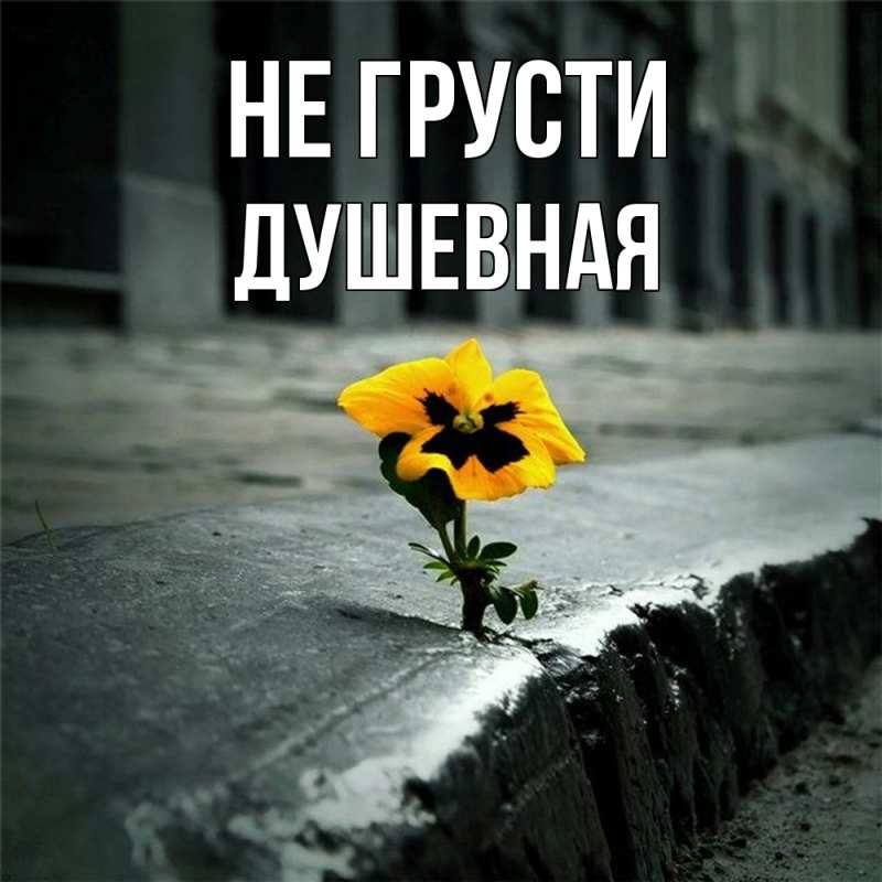Картинка Не грусти, Душевная