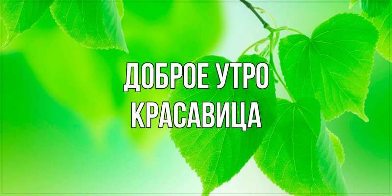 Картинка Доброе утро, Красавица