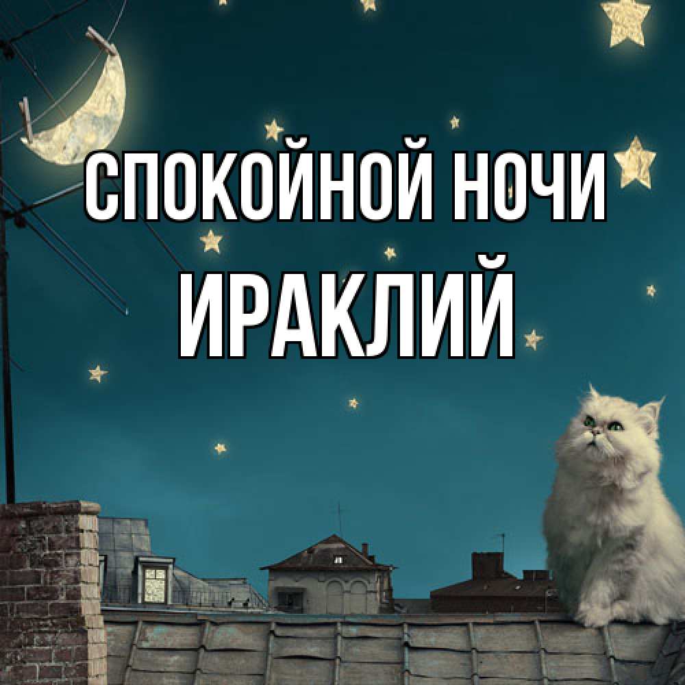 Открытка на каждый день с именем, Ираклий Спокойной ночи белый кот сидит на крыше Прикольная открытка с пожеланием онлайн скачать бесплатно 