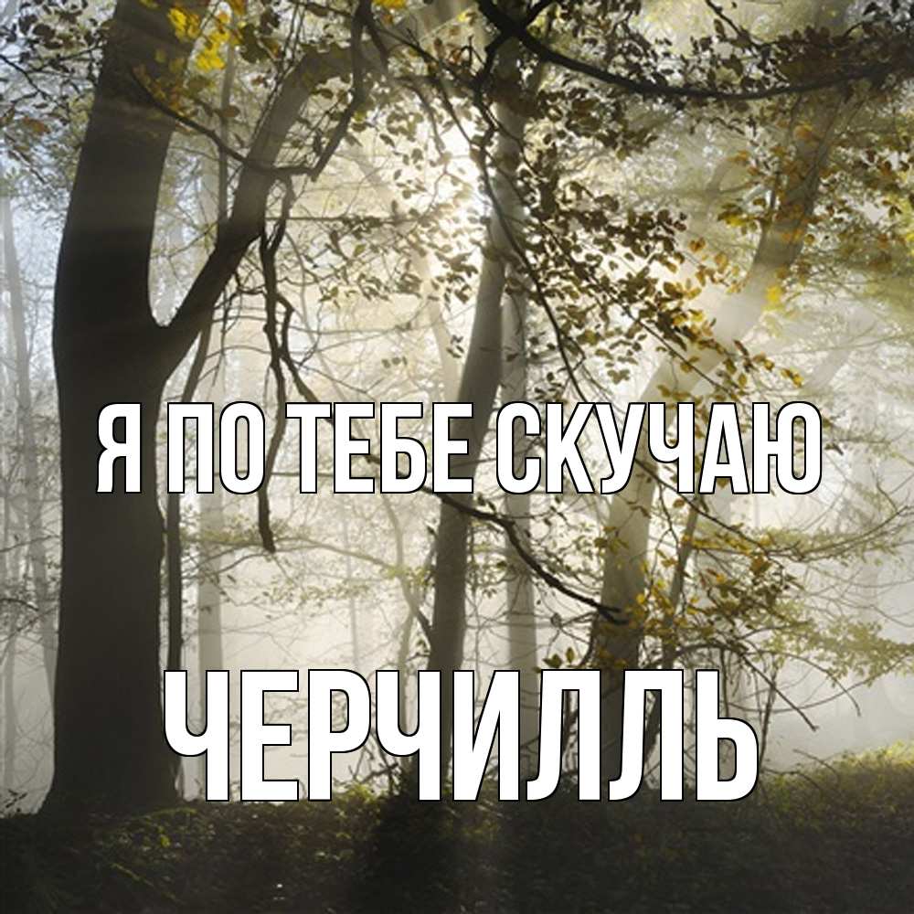 Открытка на каждый день с именем, Черчилль Я по тебе скучаю грустно Прикольная открытка с пожеланием онлайн скачать бесплатно 