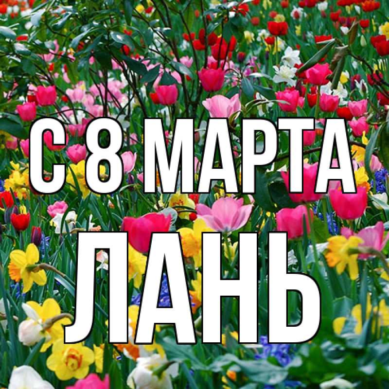 Картинка C 8 МАРТА, лань