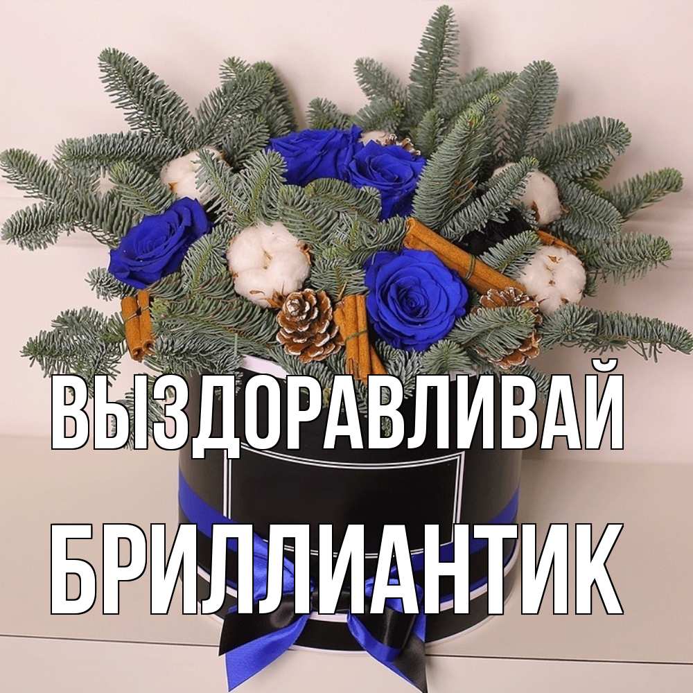 Открытка на каждый день с именем, Бриллиантик Выздоравливай короче кто то загрузил эти шишки Прикольная открытка с пожеланием онлайн скачать бесплатно 