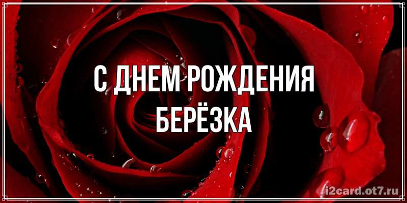 Картинка С днем рождения, Берёзка