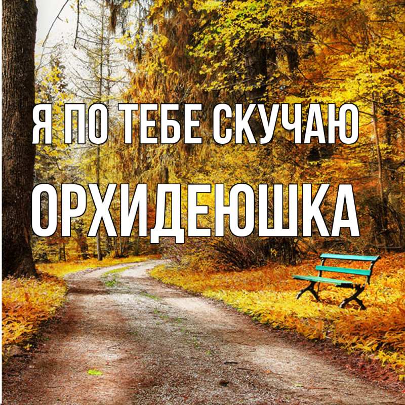 Картинка Я по тебе скучаю, Орхидеюшка