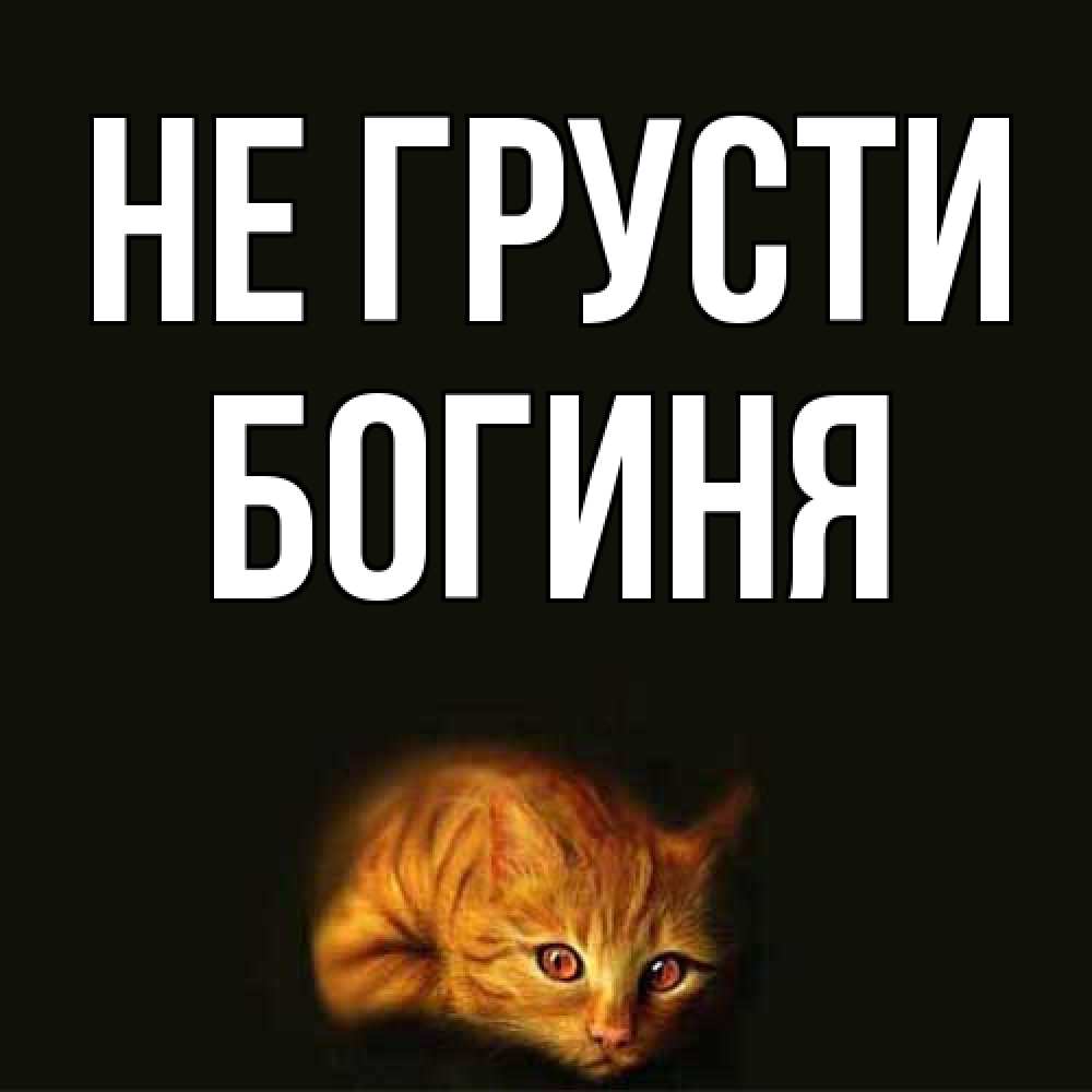 Открытка на каждый день с именем, Богиня Не грусти лежащий кот в темноте Прикольная открытка с пожеланием онлайн скачать бесплатно 