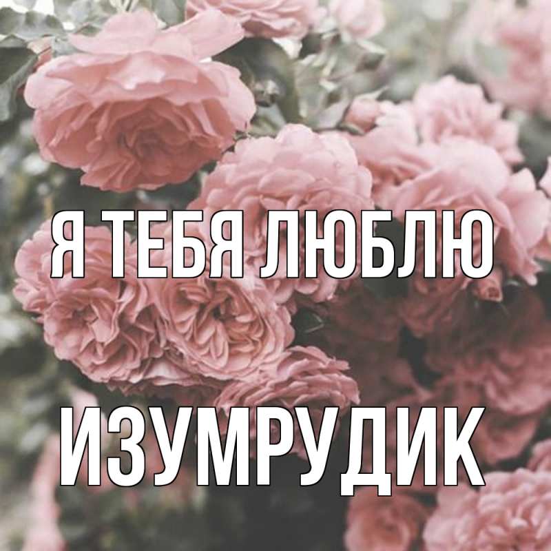 Картинка Я тебя люблю, изумрудик