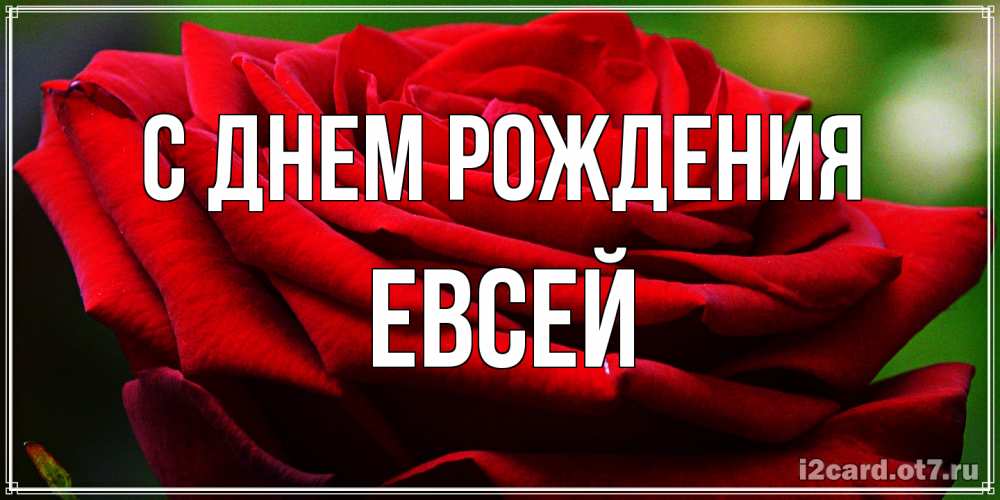 Открытка на каждый день с именем, Евсей С днем рождения розочка очень красивая Прикольная открытка с пожеланием онлайн скачать бесплатно 
