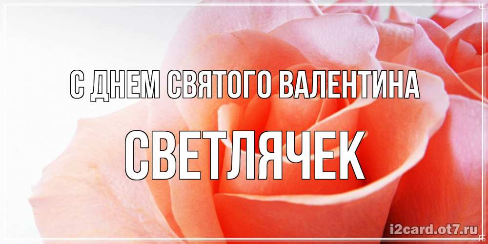 Открытка на каждый день с именем, Светлячек С днем Святого Валентина открытка на день Святого Валентина с розовой розой Прикольная открытка с пожеланием онлайн скачать бесплатно 