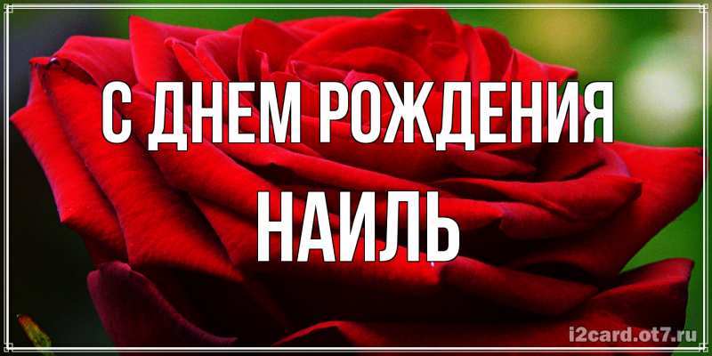 Картинка С днем рождения, Наиль