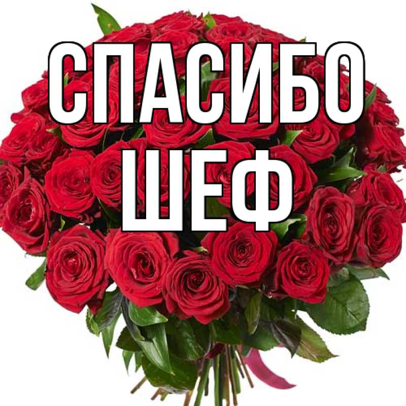 Картинка Спасибо, Шеф