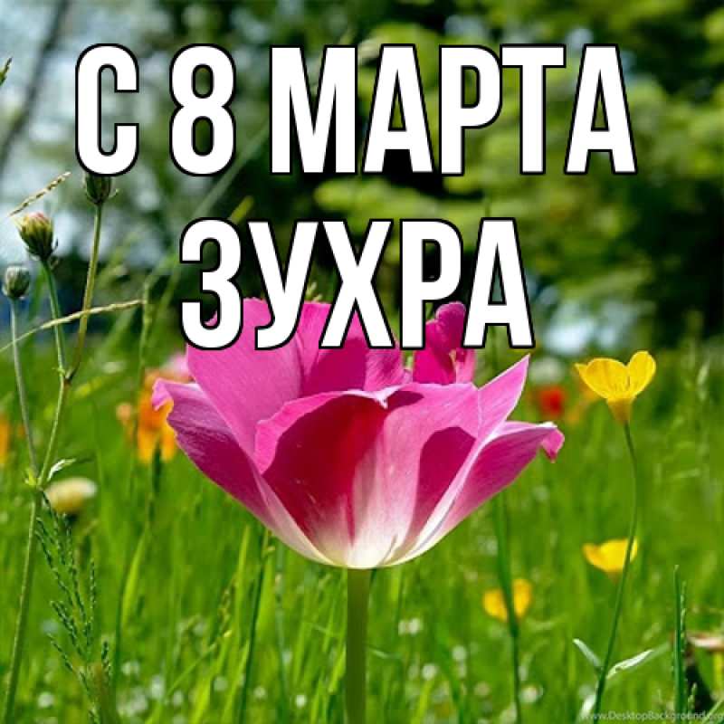 Картинка C 8 МАРТА, Зухра