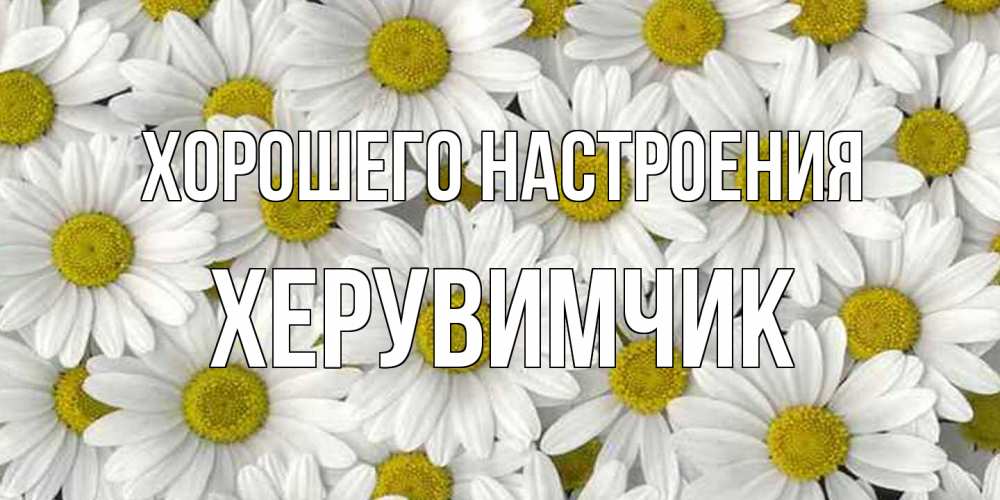 Открытка на каждый день с именем, Хеpувимчик Хорошего настроения поляна ромашек Прикольная открытка с пожеланием онлайн скачать бесплатно 