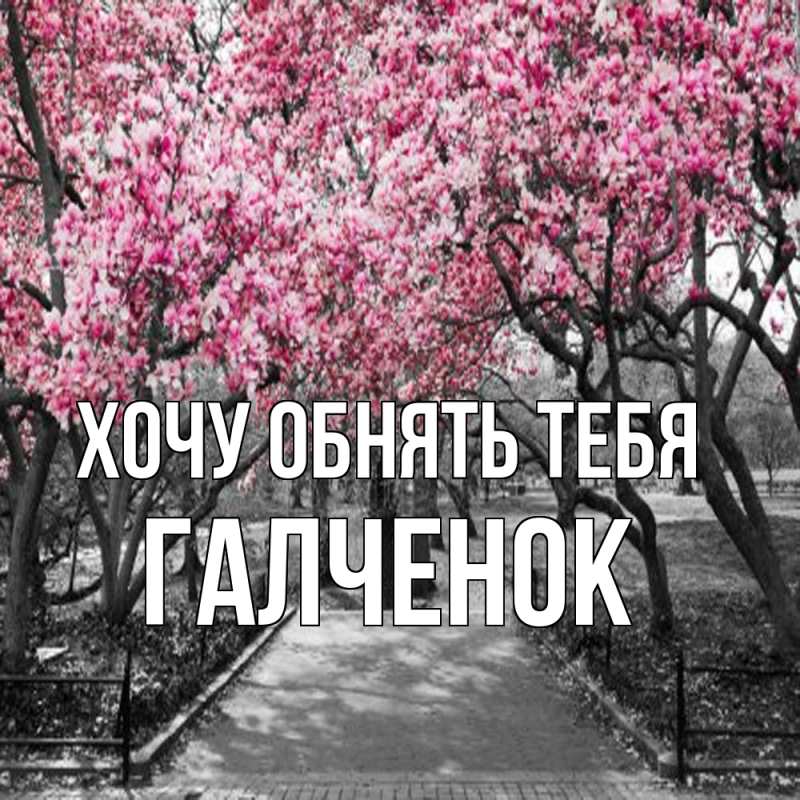 Картинка Хочу обнять тебя, Галченок