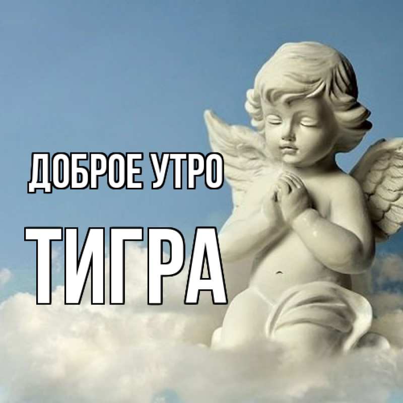 Картинка Доброе утро, Тигpа