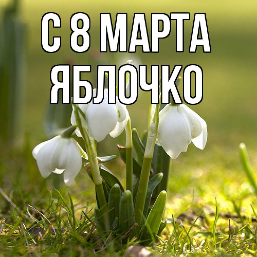 Открытка на каждый день с именем, яблочко C 8 МАРТА ранние цветы 2 Прикольная открытка с пожеланием онлайн скачать бесплатно 
