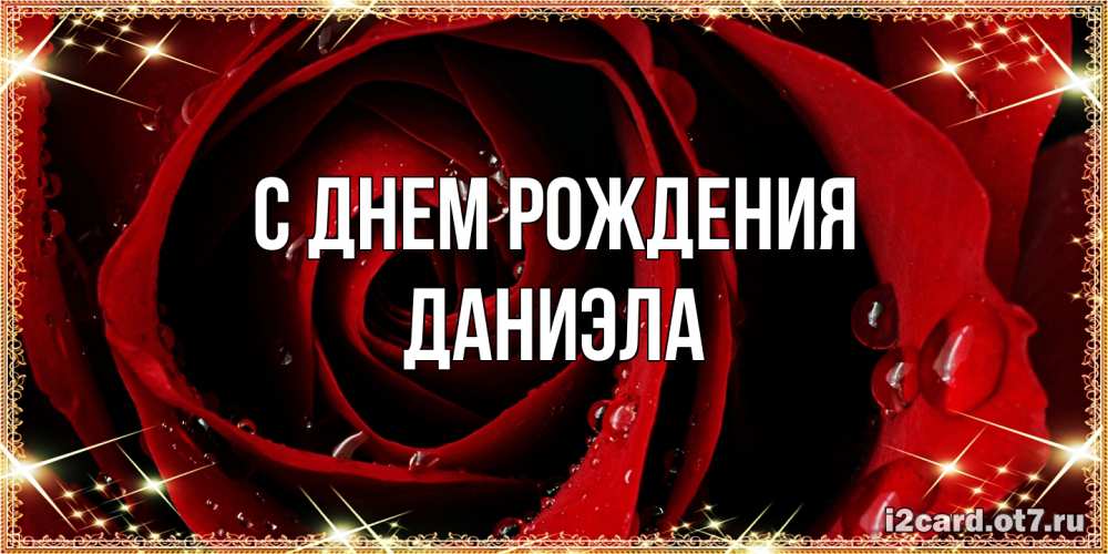 Открытка на каждый день с именем, Даниэла С днем рождения цветок в росе на день рождения Прикольная открытка с пожеланием онлайн скачать бесплатно 