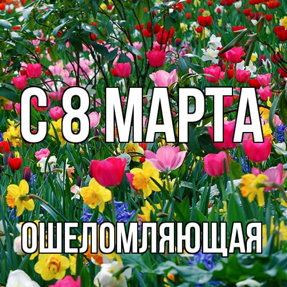 Открытка на каждый день с именем, Ошеломляющая C 8 МАРТА с международным женским днем поздравления для женщины Прикольная открытка с пожеланием онлайн скачать бесплатно 