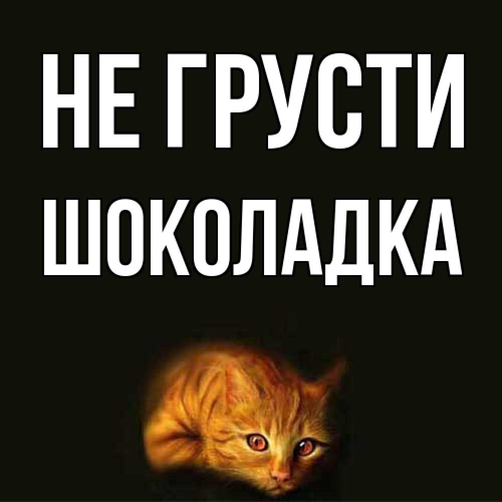 Открытка на каждый день с именем, Шоколадка Не грусти лежащий кот в темноте Прикольная открытка с пожеланием онлайн скачать бесплатно 