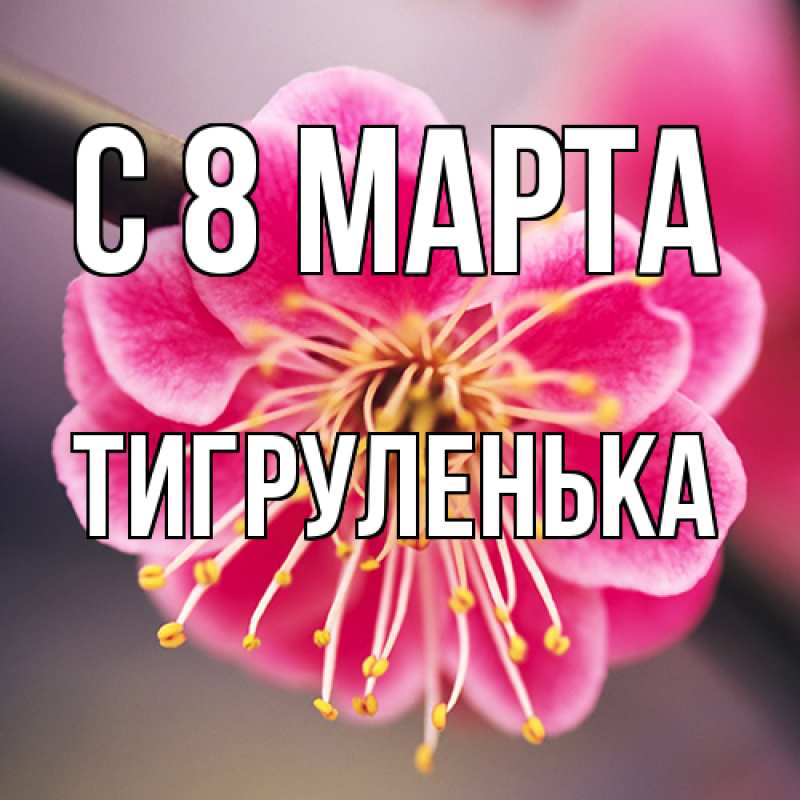 Картинка C 8 МАРТА, Тигpуленька