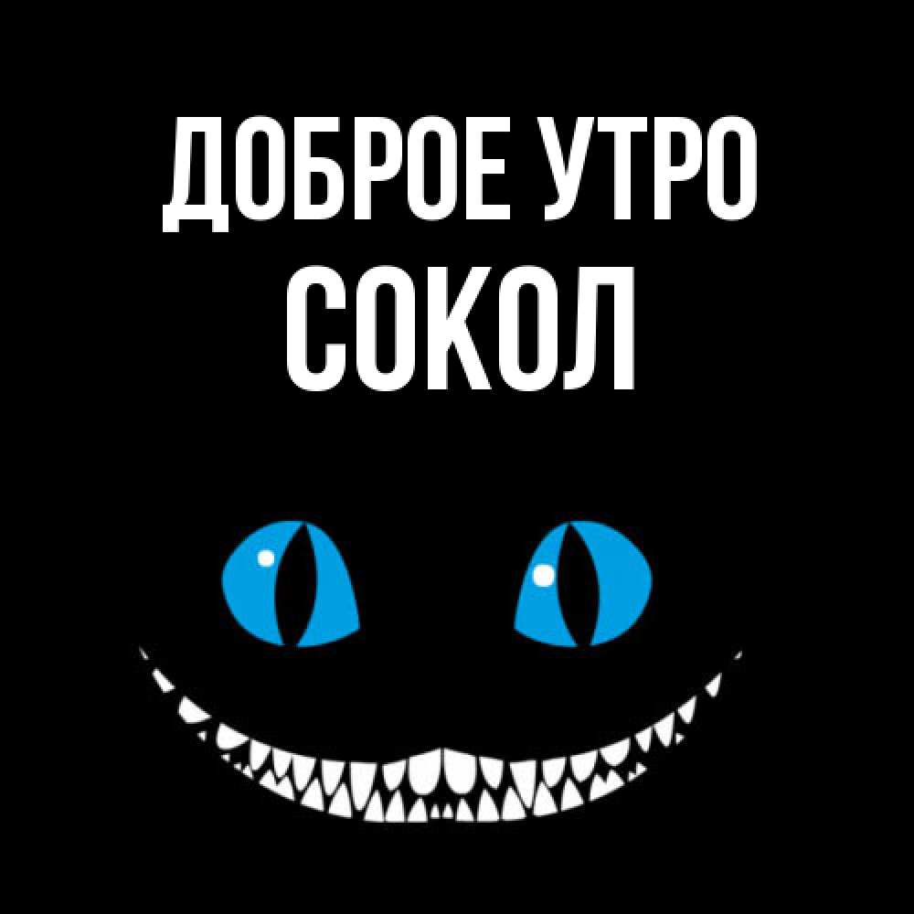 Открытка на каждый день с именем, Сокол Доброе утро голубые глаза и зубки Прикольная открытка с пожеланием онлайн скачать бесплатно 