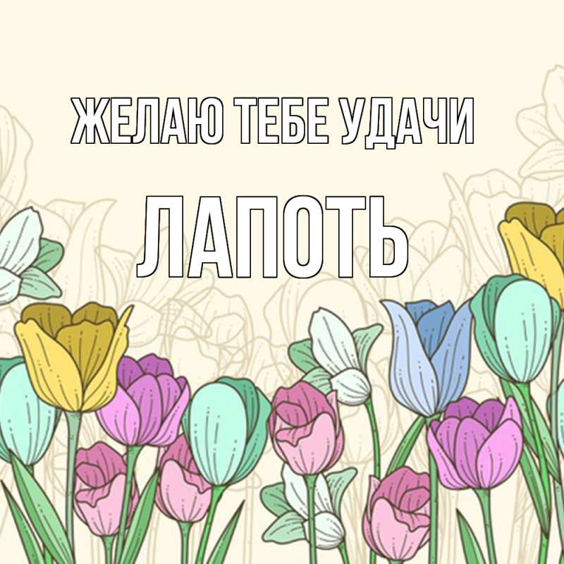 Картинка Желаю тебе удачи, Лапоть