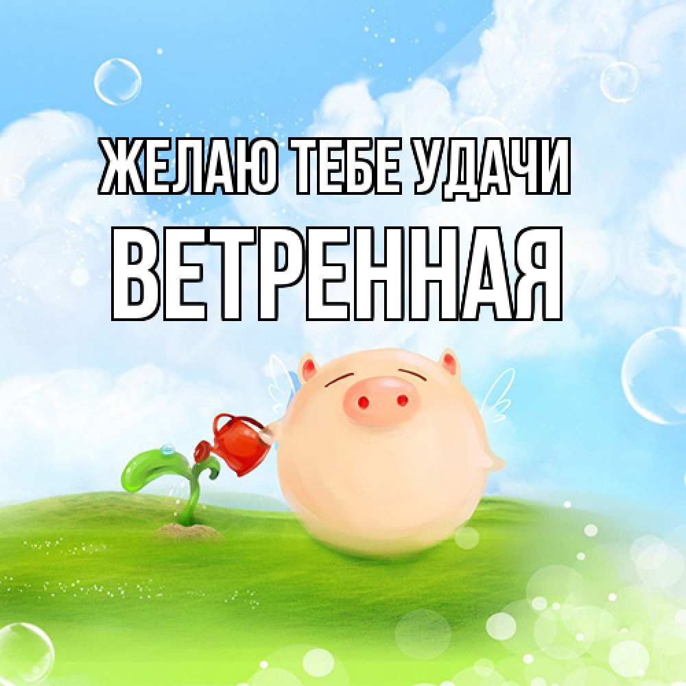 Открытка на каждый день с именем, Ветренная Желаю тебе удачи поросенок поливает цветок. летнее настроение Прикольная открытка с пожеланием онлайн скачать бесплатно 