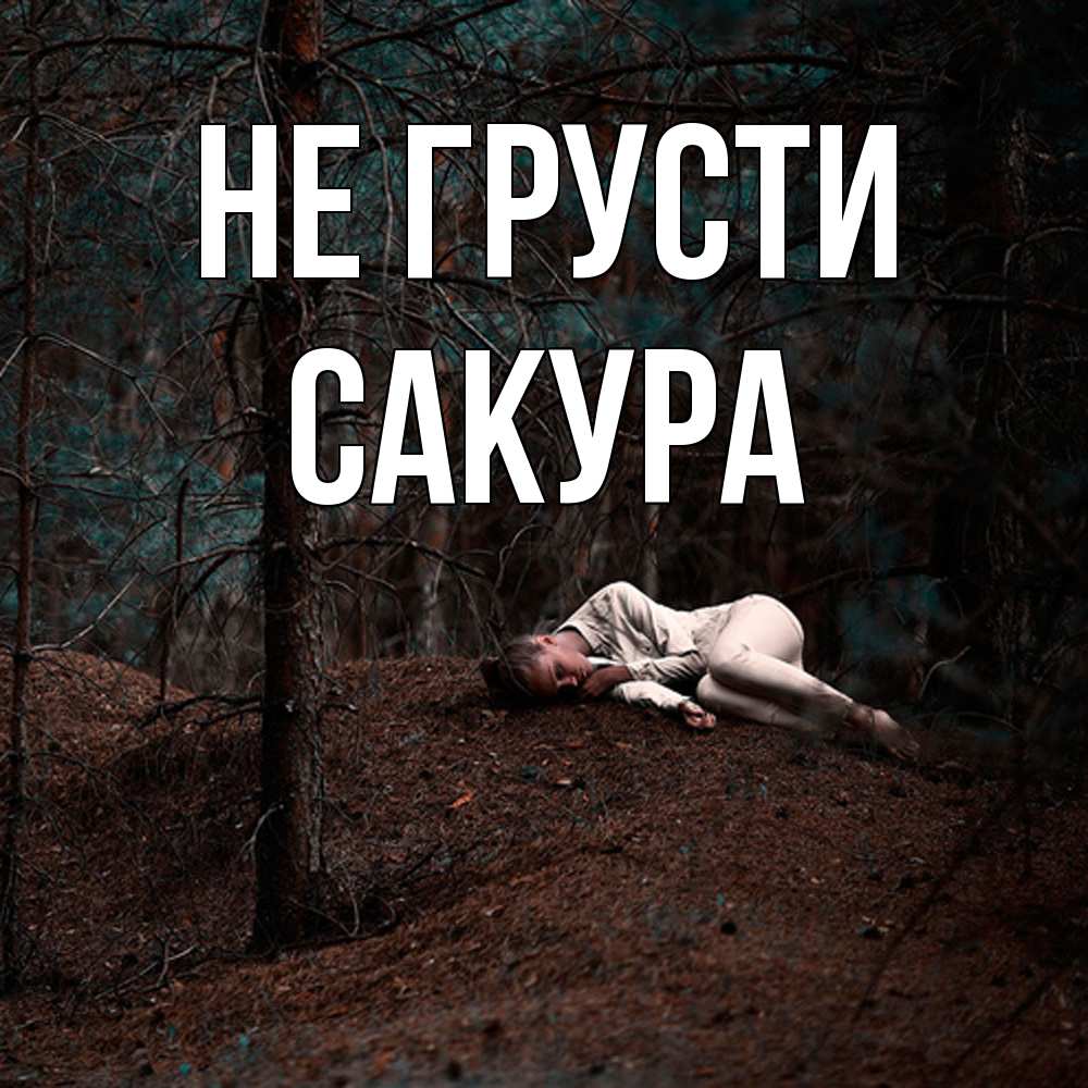 Открытка на каждый день с именем, Сакура Не грусти лес Прикольная открытка с пожеланием онлайн скачать бесплатно 