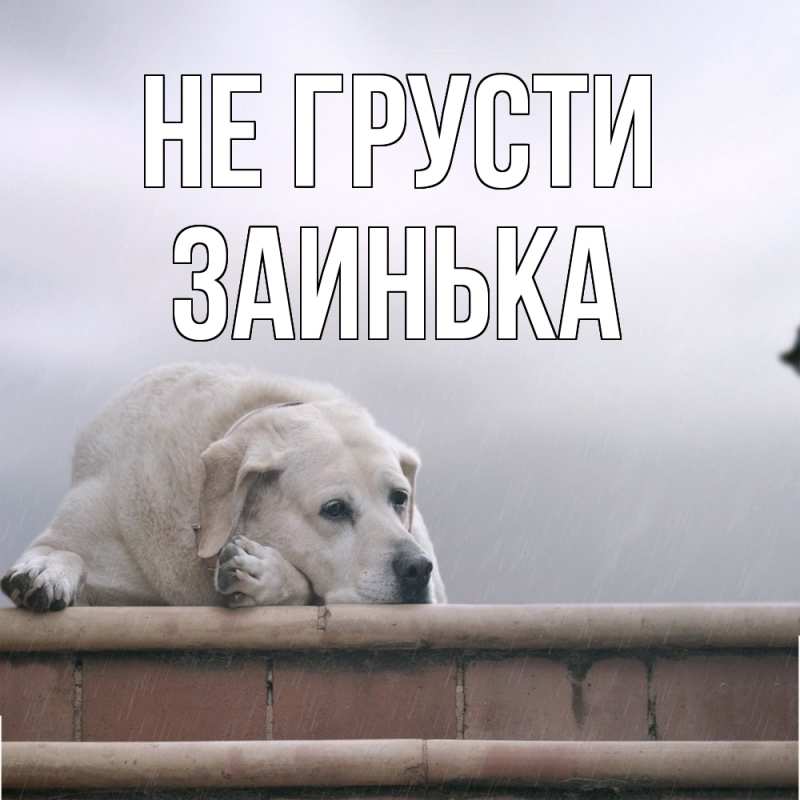 Картинка Не грусти, Заинька